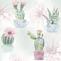 Servietten 33x33 cm - Flowering Cactuses