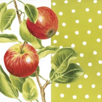 Napkins 33x33 cm - Apple Branch on Green Background