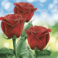 餐巾33x33厘米 - Three Classic Red Roses