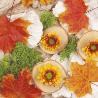 餐巾33x33厘米 - Autumn Composition with Maple Tree Leaves