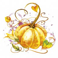 Serviettes 33x33 cm - Mature Pumpkin