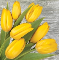 Tovaglioli 33x33 cm - Yellow Tulips on Wood