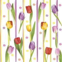 Serviettes 33x33 cm - Colourful Tulip Stripes
