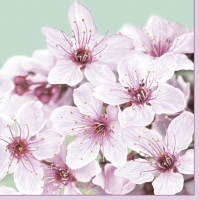 Салфетки 33x33 см - Cherry Blossom
