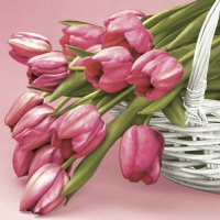 Serviettes 33x33 cm - Falling Pink Tulips on Pink Background
