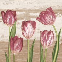 Napkins 33x33 cm - Tulips on Vintage Background