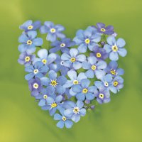 Serviettes 33x33 cm - Forget-me-nots Heart