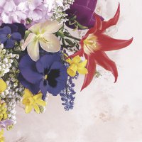 Serviettes 33x33 cm - Charming Mix of Spring Flowers