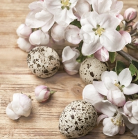 Салфетки 33x33 см - Quail Eggs with Apple Blossom