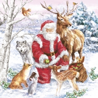 餐巾33x33厘米 - Santa & Animals