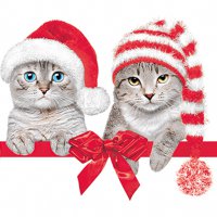 Napkins 33x33 cm - Lovely Cats in Christmas Hats