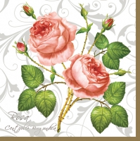 Serwetki 33x33 cm - Rosa Centifolia White