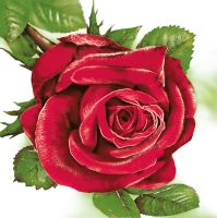 Servietten 33x33 cm - Big Red Rose