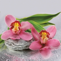 Serviettes 33x33 cm - Orchids on Stone