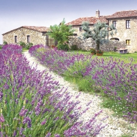 Serviettes 33x33 cm - Lavender Farm
