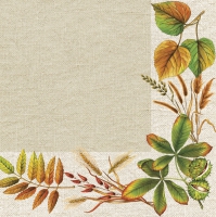 Serviettes 33x33 cm - Autumn Leaves Frame