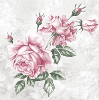 餐巾33x33厘米 - Vintage Roses