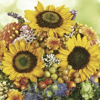 Napkins 33x33 cm - Autumn Bouquet with Sunflowers