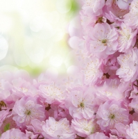 Tovaglioli 33x33 cm - Blossoming Cherry Frame