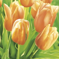 Servietten 33x33 cm - Fresh Sunny Tulips