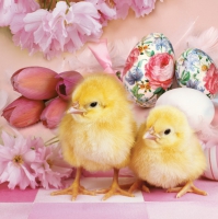 Tovaglioli 33x33 cm - Lovely Chickens among Pink