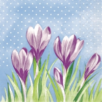 Linclass napkins 40x40 cm - Fine  (violett/grün)