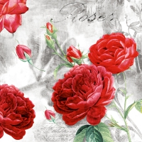Servietten 33x33 cm - Rose Garden