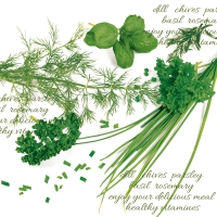Napkins 33x33 cm - Green Herbs