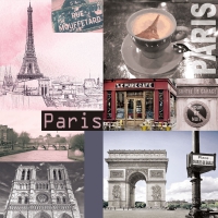 Napkins 33x33 cm - Paris City Life