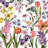 Napkins 33x33 cm - Flower Meadow