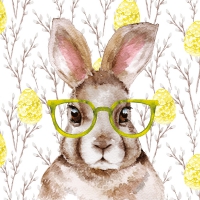 餐巾33x33厘米 - My name is Rabbit