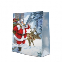10 gift bags - Santa is coming