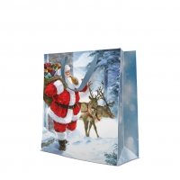 10 bolsas de regalo - Santa is coming