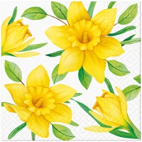 Napkins 25x25 cm - Daffodils in Bloom