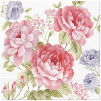 Serviettes 33x33 cm - Julietta 
