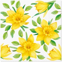 Serviettes 33x33 cm - Daffodils in Bloom