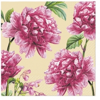 Napkins 33x33 cm - BEAUTIFUL PEONIES CREAM