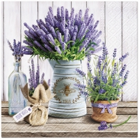 Servietten 33x33 cm - Lavender in Bucket