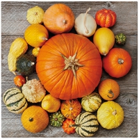 Servietten 33x33 cm - Pumpkin Composition