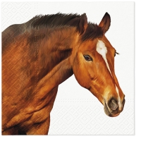Serviettes 33x33 cm - Horse Head