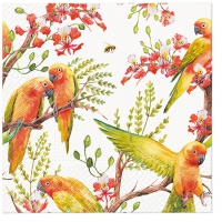 Serviettes 33x33 cm - Exotic birds