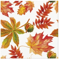 Serviettes 33x33 cm - Fall Colors