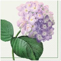 Napkins 33x33 cm - Vintage Hydrangea