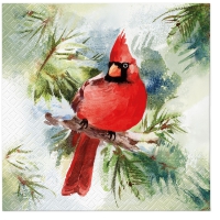 Serviettes 33x33 cm - Winter Cardinal