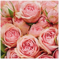 餐巾33x33厘米 - Lots of Roses