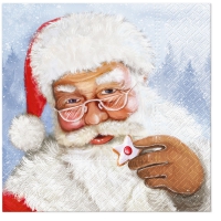 Servietten 33x33 cm - Santa with Gingerbread