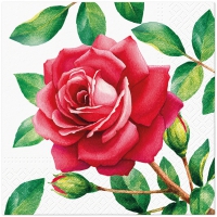 Servietten 33x33 cm - Special Rose