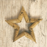 Serviettes 33x33 cm - Birch star