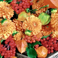 Servetten 24x24 cm - Flowers & fruits