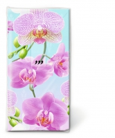 手帕 - Bright orchid